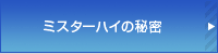 ~X^[nC̔閧